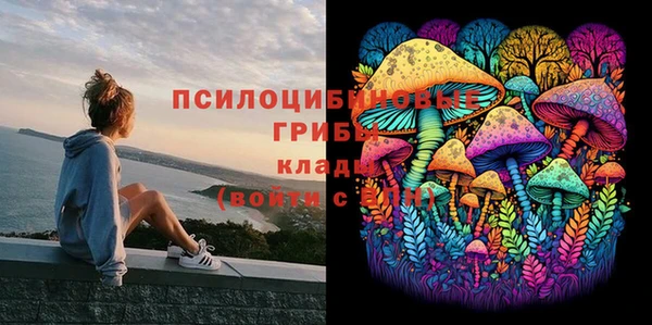 ALPHA PVP Арсеньев